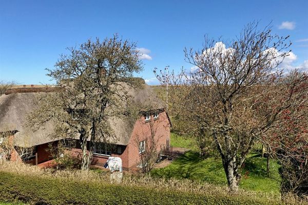  Letj Reethüs Whg. 1 Dünengras Norddorf - 