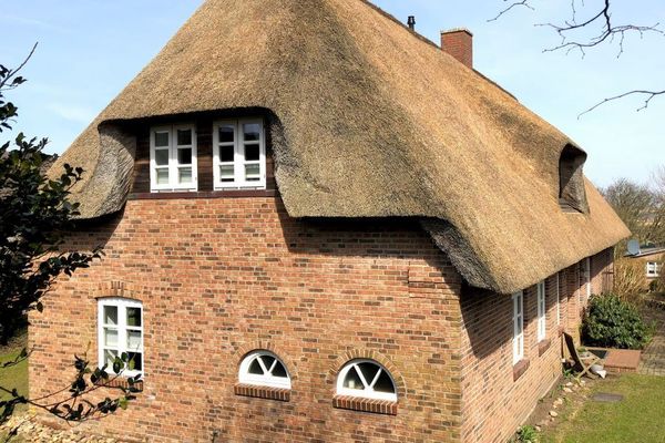  Letj Reethüs Whg. 3 Strandflieder Norddorf - 