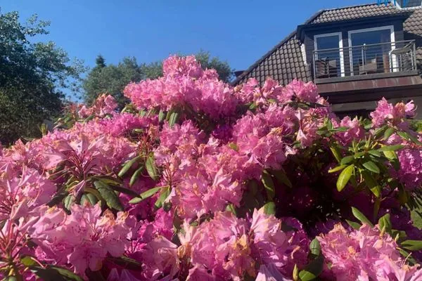 Dekoratives Detail Villa Düna Ferienwohnung 1