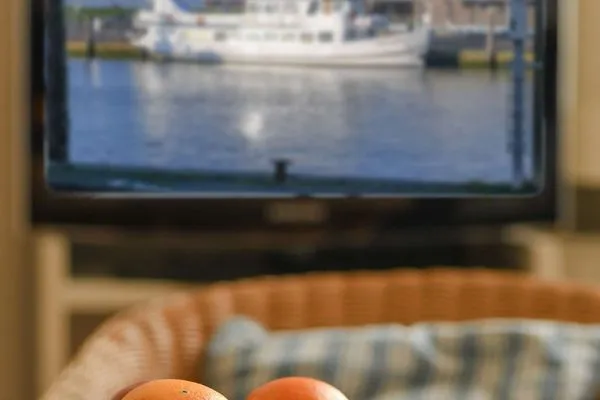 Wohnzimmer Residenz am Rosengarten Ferienwohnung 15
