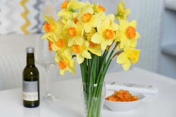 Wohnzimmer Dünenschlösschen Ferienwohnung 45