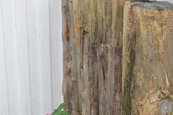  Rosenberg 24 Haus Deichrose Zingst - Dekoratives Detail