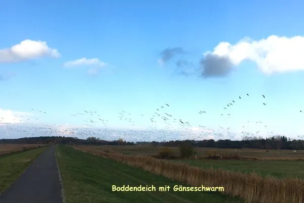 Fahrradweg Achtern Diek Achtern Diek 13a - Wohnung 2