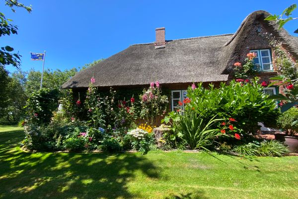  Friederikenhof Brösum - Garten