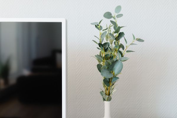  Meerliebe Norderney-Stadt - Dekoratives Detail