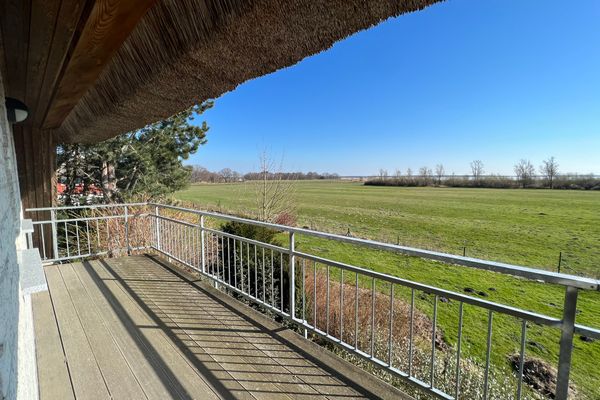  Haus am Boddenufer Wieck - Landschaft
