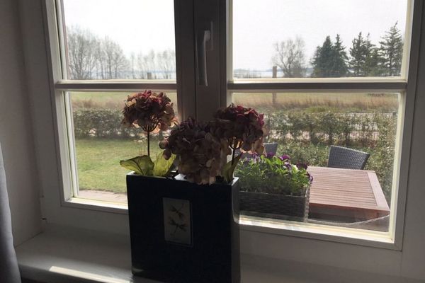  Rudi  - Gartenblick