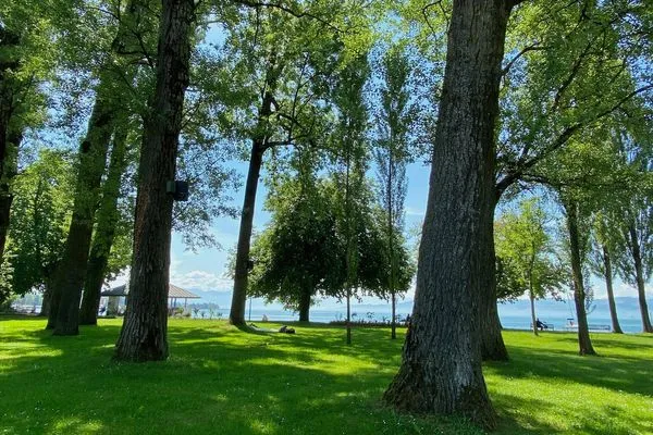 Ferienwohnung Am Nonnenbach Kressbronn - Seebereich Kressbronn