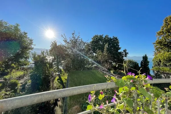  Ferienwohnung Idylle am See Lindau Insel - Blick auf Garten und See