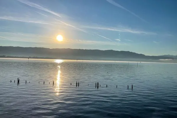  Ferienwohnung Idylle am See Lindau Insel - Bodensee