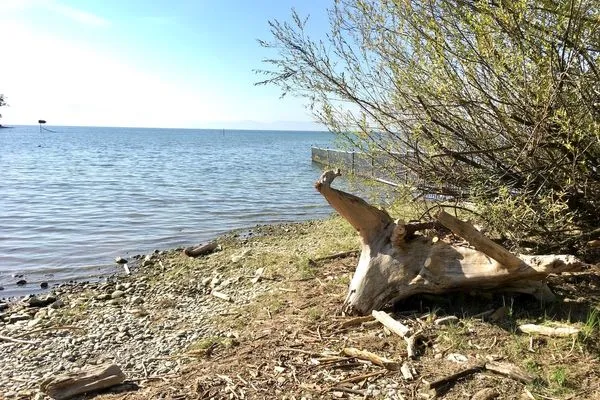  Landhaus Vogel Wasserburg - Ufer bei Wasserburg