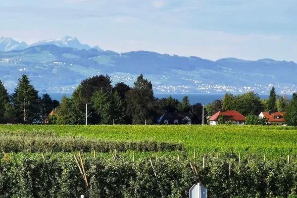 Landhaus Vogel Wasserburg - Natur