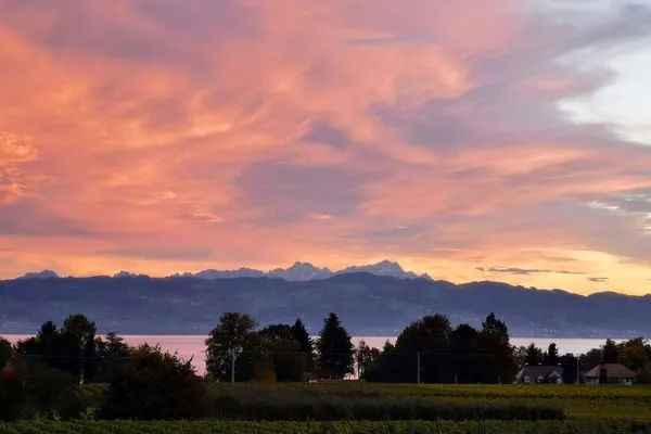  Landhaus Vogel Wasserburg - Natur