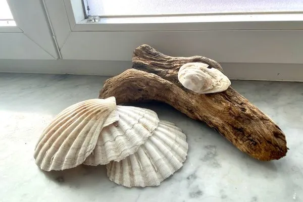  Ferienwohnung Riva Lindau und Umgebung - deko