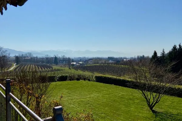 Multi-Fewo Haus Weinberg-Idyll Ferienwohnung Weinberg-Idyll Lindau und Umgebung - Aussicht