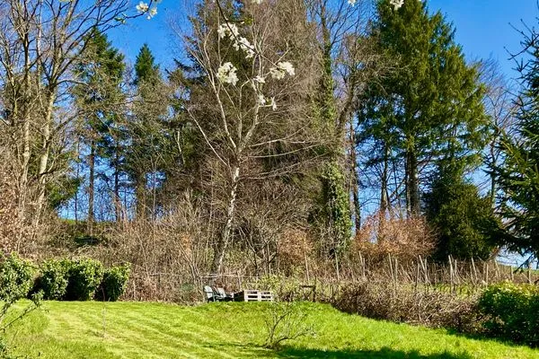 Multi-Fewo Haus Weinberg-Idyll Ferienwohnung Weinberg-Idyll Lindau und Umgebung - Garten