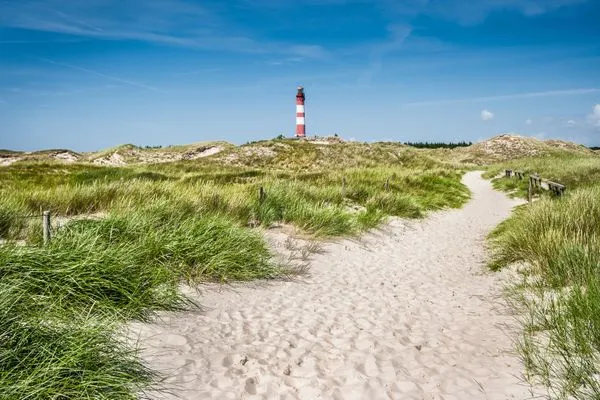 Landschaft Haus *Südspitze 17* Ferienwohnung *Auszeit am Meer*