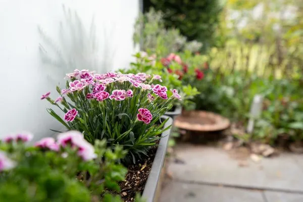 Gartenblick  (MEI2b) Ferienwohnung "Landkrabbe"