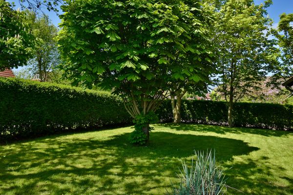  Ferienhaus 8er Huus Wangarou Wangerooge - Gartenblick