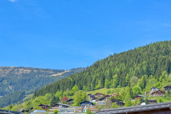  Apartment Antonia Zell am See - Landschaft