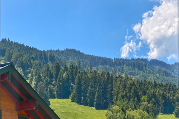  Apartment Antonia Zell am See - Landschaft