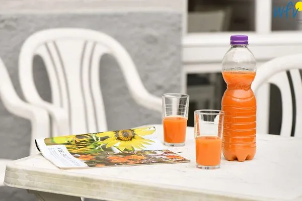 Terrasse Residenz am Rosengarten Ferienwohnung 1