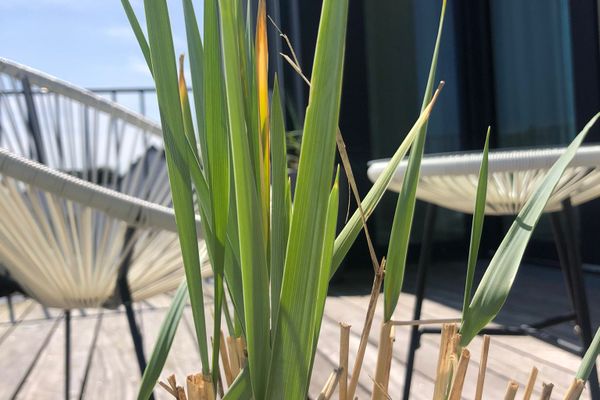  Penthouse NorderNice Norderney-Stadt - Balkon