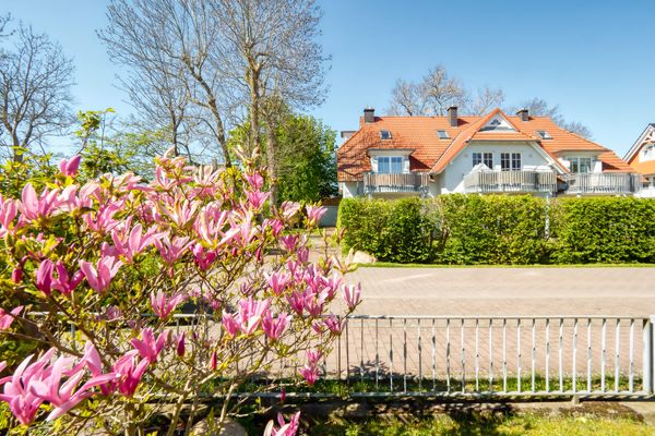  Alte Reihe 9 Haus Am Wind 6 Zingst - Landschaft