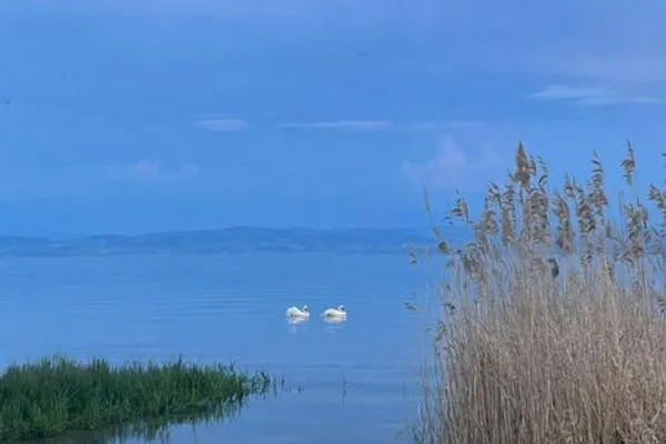 Strand  Designerloft See