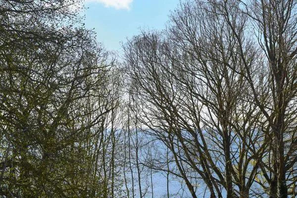 Meerblick Haus am Hövt Ferienwohnung 17