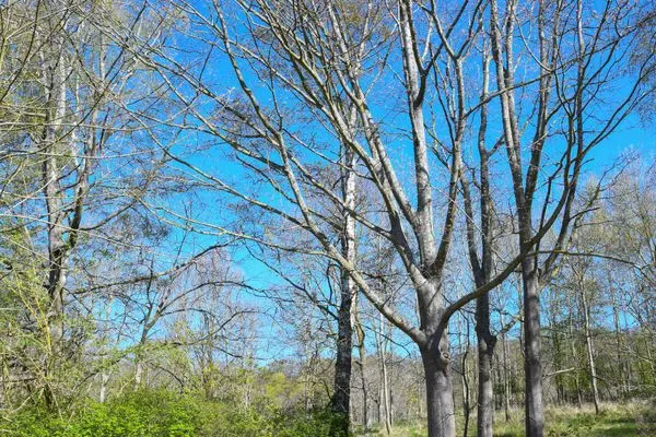 Meerblick Haus am Hövt Ferienwohnung 17