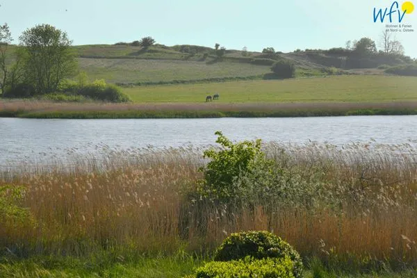 Ausblick vom Treppenhaus auf den See Ferienpark Seedorf Haus Wizlaw - Ferienwohnung Casa Campino