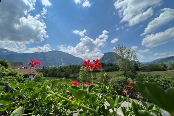 Allgäuer Appartementhaus Bergsonnenappartement II / Whg. 9  - Landschaft