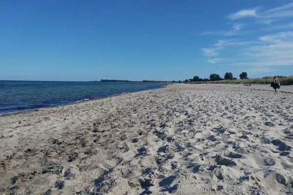 Strand  Ferienwohnung Großer Onkel Nr. 2