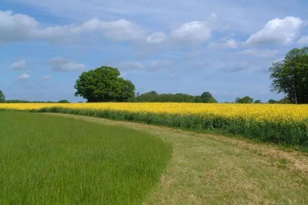   Ferienhaus Strandliebe