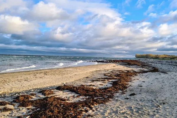   Ferienwohnung Kiekut 1