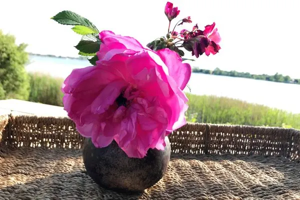   Ferienwohnung Schleistrand