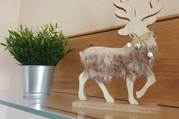 Dekoratives Detail Feriendorf Hochbergle Haus 131