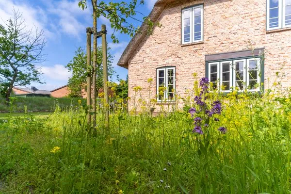 Dorf Domizil Reetdachhaus Reetkate SPO Dorf - 