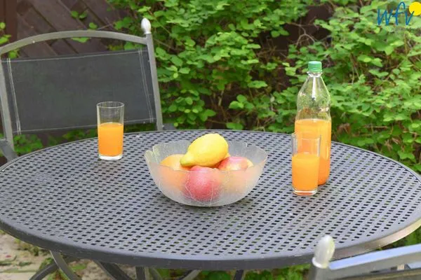 Terrasse Haus am Hövt Ferienwohnung 12