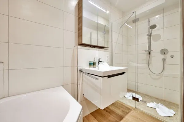 Bathroom  Bergidylle 1