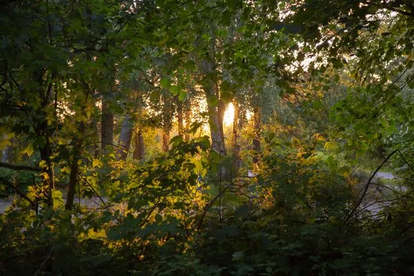  Ferien am Südstrand Ferienwohnung 0.6/ Elso