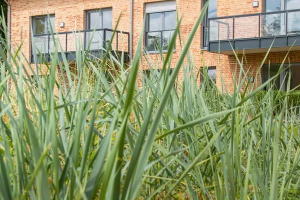  Ferien am Südstrand Ferienwohnung 0.6/ Elso