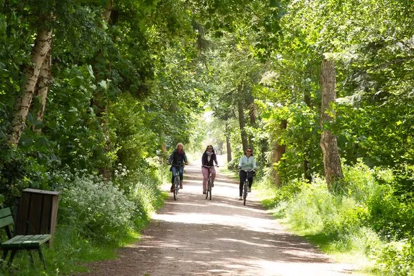  Ferien am Südstrand Ferienwohnung 0.6/ Elso