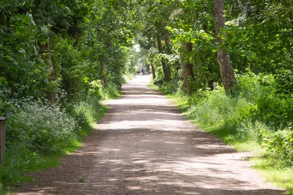  Ferien am Südstrand Ferienwohnung 0.6/ Elso