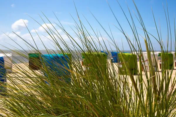  Ferien am Südstrand Ferienwohnung 0.6/ Elso