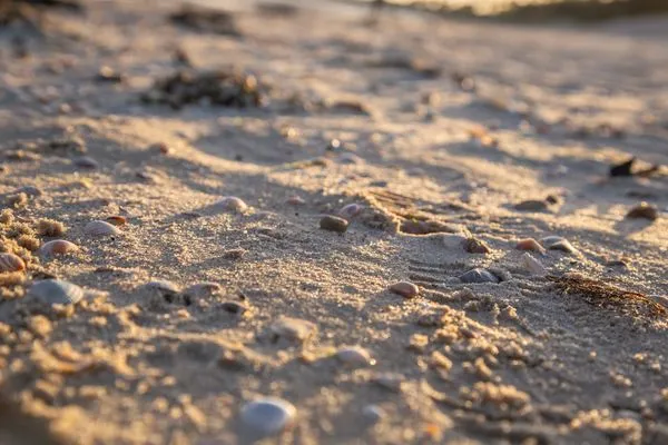  Ferien am Südstrand Ferienwohnung 0.6/ Elso