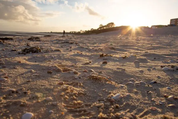  Ferien am Südstrand Ferienwohnung 0.6/ Elso
