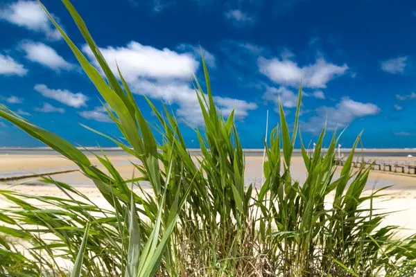  Ferien am Südstrand Ferienwohnung 0.6/ Elso
