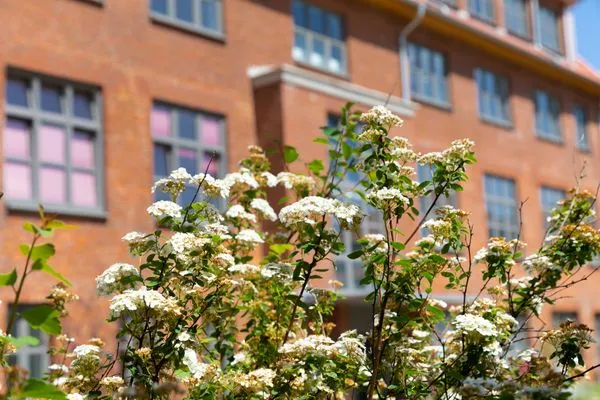  Ferien am Südstrand Ferienwohnung 0.6/ Elso